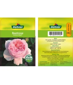 Edelrose 'Schöne Maid®' 5 Edelrose 'Schöne Maid®' -Gartenbedarf Verkäufe 2024 7801459 SchoeneMaidBeetrose Etikett1