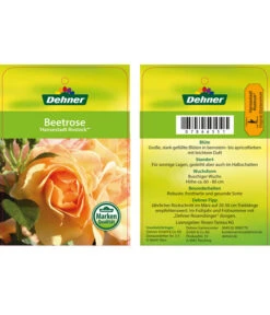 Beetrose 'Hansestadt Rostock®' 9 Beetrose 'Hansestadt Rostock®' -Gartenbedarf Verkäufe 2024 7866551 HansestadtRostockBeetrose Etikett1