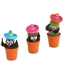 Kaktus Mit Sombrero - Cactaceae, Verschiedene Sorten -Gartenbedarf Verkäufe 2024 7977291 PR FS 001 KakteenMitSombreroRetDehnerExpressHerzig