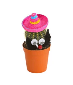 Kaktus Mit Sombrero - Cactaceae, Verschiedene Sorten -Gartenbedarf Verkäufe 2024 7977291 WE FS 002 KaktusPinkMitSombreroDehnerExpressHerzig