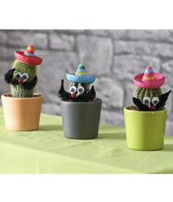 Kaktus Mit Sombrero - Cactaceae, Verschiedene Sorten -Gartenbedarf Verkäufe 2024 7977291 WE MO 001 KakteenMitSombreroDehnerExpressHerzig