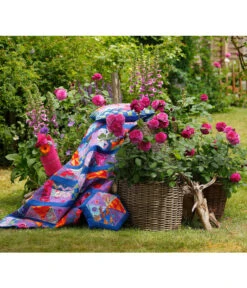 Beetrose 'Kaffe Fassett®' -Gartenbedarf Verkäufe 2024 7988181 PR DE 003 EdelroseKaffeFassettTantau