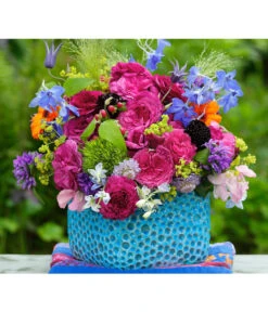 Beetrose 'Kaffe Fassett®' -Gartenbedarf Verkäufe 2024 7988181 PR DE 004 EdelroseKaffeFassettTantau