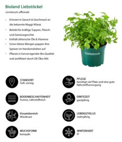 Bioland Liebstöckel 5 Bioland Liebstöckel -Gartenbedarf Verkäufe 2024 8002008 WE IG 001 BiolandLiebstoeckel