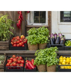 Ochsenherztomate 'Fleurette' -Gartenbedarf Verkäufe 2024 8002578 WE MO 001 BellaItaliaTomatePaprikaBasilikum2021GC04 2