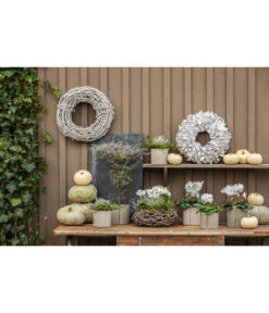 Dehner Kranz Palm Petal Whitewash, Ca. Ø40 Cm 6 Dehner Kranz Palm Petal Whitewash, Ca. Ø40 Cm -Gartenbedarf Verkäufe 2024 8122889 PR MO 001 KuerbisseWeissGrau