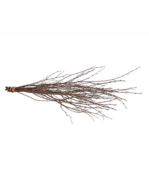 Birkenzweige-Bund, Ca. 70 Cm 4 Birkenzweige-Bund, Ca. 70 Cm – Bild 2