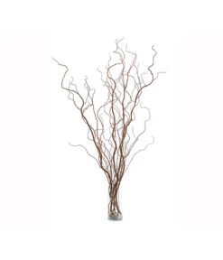 Korkenzieherweide-Bund 10 Korkenzieherweide-Bund -Gartenbedarf Verkäufe 2024 8149114 WE FS 002 KorkenzieherweideBraunBundDehnerExpressHerzig