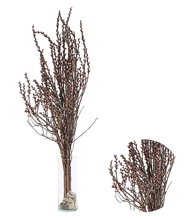 Sumpfkätzchen-Bund, Ca. 80-100 Cm 3 Sumpfkätzchen-Bund, Ca. 80-100 Cm