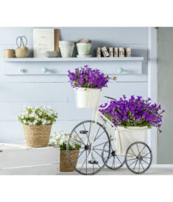 Polster-Glockenblume 'Ocean', 6er Schale -Gartenbedarf Verkäufe 2024 8211633 8211450 WE MO 002 CampanulaBlauWeiss2021GC02