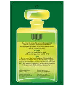 Duft-Orchidee - Phalaenopsis-Hybride 'Flacon Solaire' -Gartenbedarf Verkäufe 2024 8257909 Etikett2 PhalaenopsisFlaconSolaire 02072018