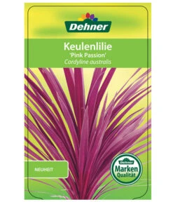 Keulenlilie 'Pink Passion' -Gartenbedarf Verkäufe 2024 8261828 CorylinePinkPassionEtikett1
