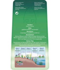 Dehner Kalmus -Gartenbedarf Verkäufe 2024 8310104 KalmusAcorusCalamus Etikett 2