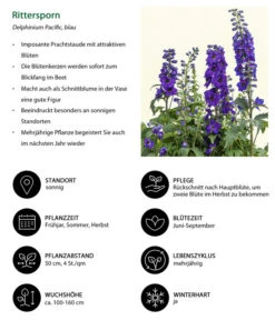 Rittersporn, Verschiedene Farben 24 Rittersporn, Verschiedene Farben -Gartenbedarf Verkäufe 2024 8352692 WE IG 001 RitterspornBlau