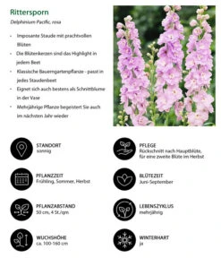 Rittersporn, Verschiedene Farben 26 Rittersporn, Verschiedene Farben -Gartenbedarf Verkäufe 2024 8352759 WE IG 001 Rittersporn