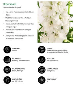 Rittersporn, Verschiedene Farben 27 Rittersporn, Verschiedene Farben -Gartenbedarf Verkäufe 2024 8352783 WE IG 001 RitterspornWeiss