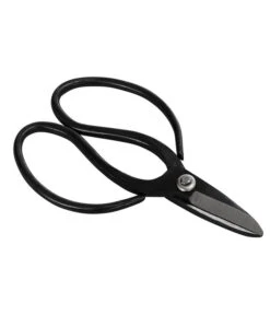 Bonsai Chinesischer Feigenbaum - Ficus Retusa, Anfänger-Set, 10 Jahre 9 Bonsai Chinesischer Feigenbaum - Ficus Retusa, Anfänger-Set, 10 Jahre -Gartenbedarf Verkäufe 2024 8561573 WE FS 002 SchereSetBonsai