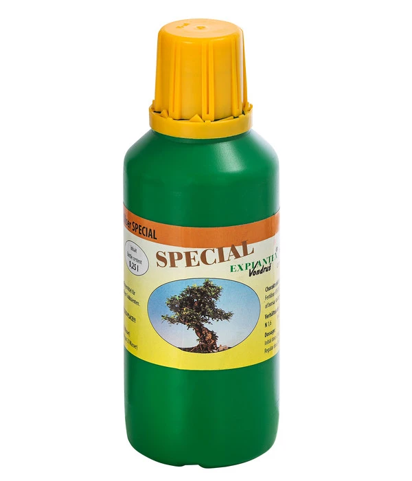 Bonsai Chinesischer Feigenbaum - Ficus Retusa, Anfänger-Set, 10 Jahre 5 Bonsai Chinesischer Feigenbaum - Ficus Retusa, Anfänger-Set, 10 Jahre – Bild 3