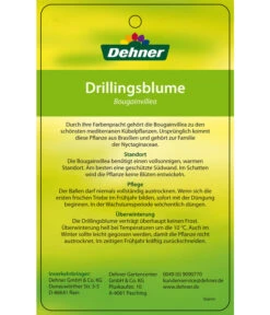 Drillingsblume, Ministamm -Gartenbedarf Verkäufe 2024 8583700 DrillingsblumeStamm 28012016 2