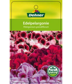 Edelgeranie, Stämmchen 24 Edelgeranie, Stämmchen -Gartenbedarf Verkäufe 2024 8585275 Edelpelargonie 04022016 1