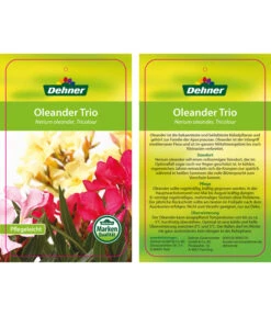 Oleander-Trio -Gartenbedarf Verkäufe 2024 8590291 8596843 NeriumoleanderTrio 01 12 17