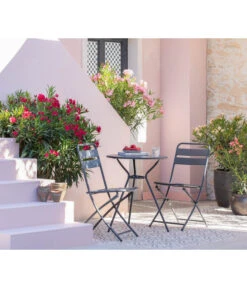 XXL Oleander, Verschiedene Sorten, Ca. 130-150 Cm -Gartenbedarf Verkäufe 2024 8596900 WE MO 001 Oleander