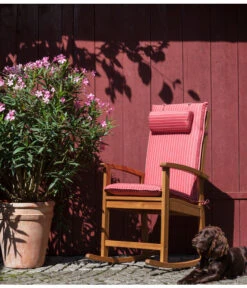 XXL Oleander, Verschiedene Sorten, Ca. 130-150 Cm -Gartenbedarf Verkäufe 2024 8596900 WE MO 002 OleanderSolitaerDehnerSchaukelstuhlDakota