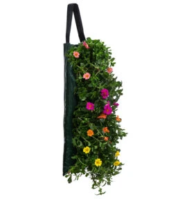 Wandhänger Mit Portulakröschen, Verschiedene Sorten -Gartenbedarf Verkäufe 2024 8602997 WE FS 001 WandhaengerPortulakroeschenBunt