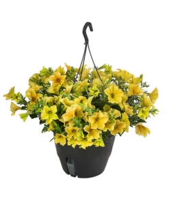 Hängepetunie, Ampel, Verschiedene Farben -Gartenbedarf Verkäufe 2024 8606840 WE FS 004 HAENGEPETUNIEMIXAMPT25