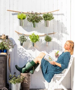 Bio Rosmarin -Gartenbedarf Verkäufe 2024 8610123 WE MO 001 Oregano Kraeuter 1