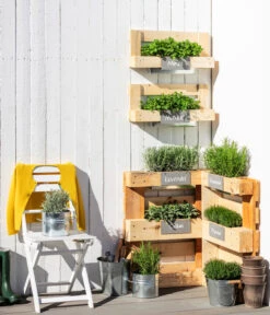 Bio Thymian 7 Bio Thymian -Gartenbedarf Verkäufe 2024 8610206 WE MO 001 Kraeuter des Suedens RosmarinLavendelMinzeOreganumSalbei Thymian