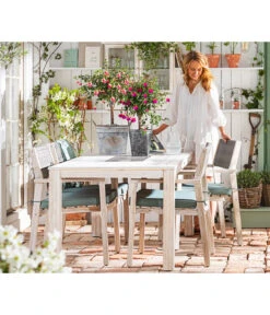 Fuchsie, Verschiedene Sorten 14 Fuchsie, Verschiedene Sorten -Gartenbedarf Verkäufe 2024 8649733 WE MO 001 FuchsieStaemmchen