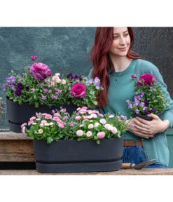 Pflanzen-Trio Frühjahr In Pastell -Gartenbedarf Verkäufe 2024 8809857 WE MO 001 FruehlingRosa 1