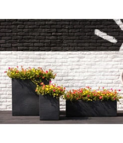 Portulakröschen -Gartenbedarf Verkäufe 2024 8817199 8827271 WE MO 001 PortulacaT11Portulakroeschen