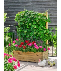 Echter Hopfen -Gartenbedarf Verkäufe 2024 8824245 WE MO 002 HopfenHumulusLupulusT13 8813032GeraniestehendMixT12