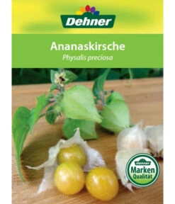 Dehner Ananaskirsche Physalis -Gartenbedarf Verkäufe 2024 8830069 Ananaskirsche Etikett 1