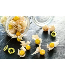 Dehner Ananaskirsche Physalis -Gartenbedarf Verkäufe 2024 8830069 PR MO 001 PhysalisAnanaskirsche