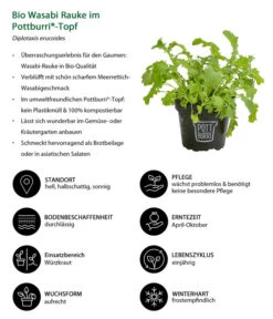Bio Wasabi Rauke Im Pottburri®-Topf 8 Bio Wasabi Rauke Im Pottburri®-Topf -Gartenbedarf Verkäufe 2024 8830291 WE IG 001 BioWasabiRaukeimPottburriTopf