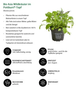 Bio Asia Wildkräuter Im Pottburri®-Topf -Gartenbedarf Verkäufe 2024 8830473 WE IG 001 BioAsiaWildkraeuterimPottburriTopf
