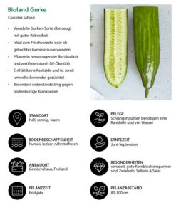Bioland Gurke, Veredelt -Gartenbedarf Verkäufe 2024 8830853 WE IG 001 BiolandGurke