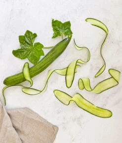 Bioland Gurke, Veredelt -Gartenbedarf Verkäufe 2024 8830853 WE MO 001 SchlangengurkeveredeltRenner