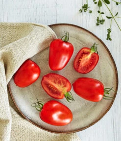 Bioland Eiertomate 7 Bioland Eiertomate -Gartenbedarf Verkäufe 2024 8831463 WE MO 001 BiolandEiertomate