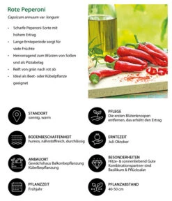 Rote Peperoni, Scharf -Gartenbedarf Verkäufe 2024 8831687 WE IG 001 RotePeperoni
