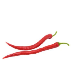 Milde Peperoni -Gartenbedarf Verkäufe 2024 8831695 WE FS 002 mildepeperoni