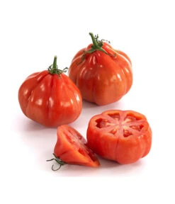 Ochsenherztomate 'Fleurette' -Gartenbedarf Verkäufe 2024 8832883 WE DE 001 Ochsenherztomate