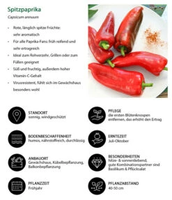 Spitzpaprika, Rot -Gartenbedarf Verkäufe 2024 8833501 WE IG 001 Spitzpaprika