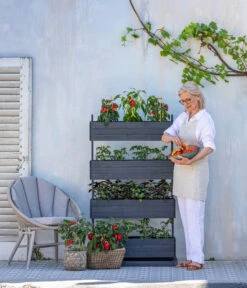 Pick-a-Tom® Cocktailtomate Mit Früchten, Rot -Gartenbedarf Verkäufe 2024 8838757 WE MO 001 HechtHochbeetCube4PickaTom