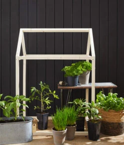 Cherrytomate 'Pepe' 10 Cherrytomate 'Pepe' -Gartenbedarf Verkäufe 2024 8839243 8839243 8839201 8839185 8002271 8843781 8002578 WE MO 004 Fruehlingsshooting