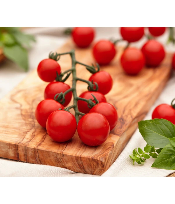 Cherrytomate 'Pepe' 3 Cherrytomate 'Pepe'