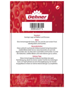 Erdbeere 'Delizz' -Gartenbedarf Verkäufe 2024 8840274 ErdbeereDelizzImmertragend Etikett 2